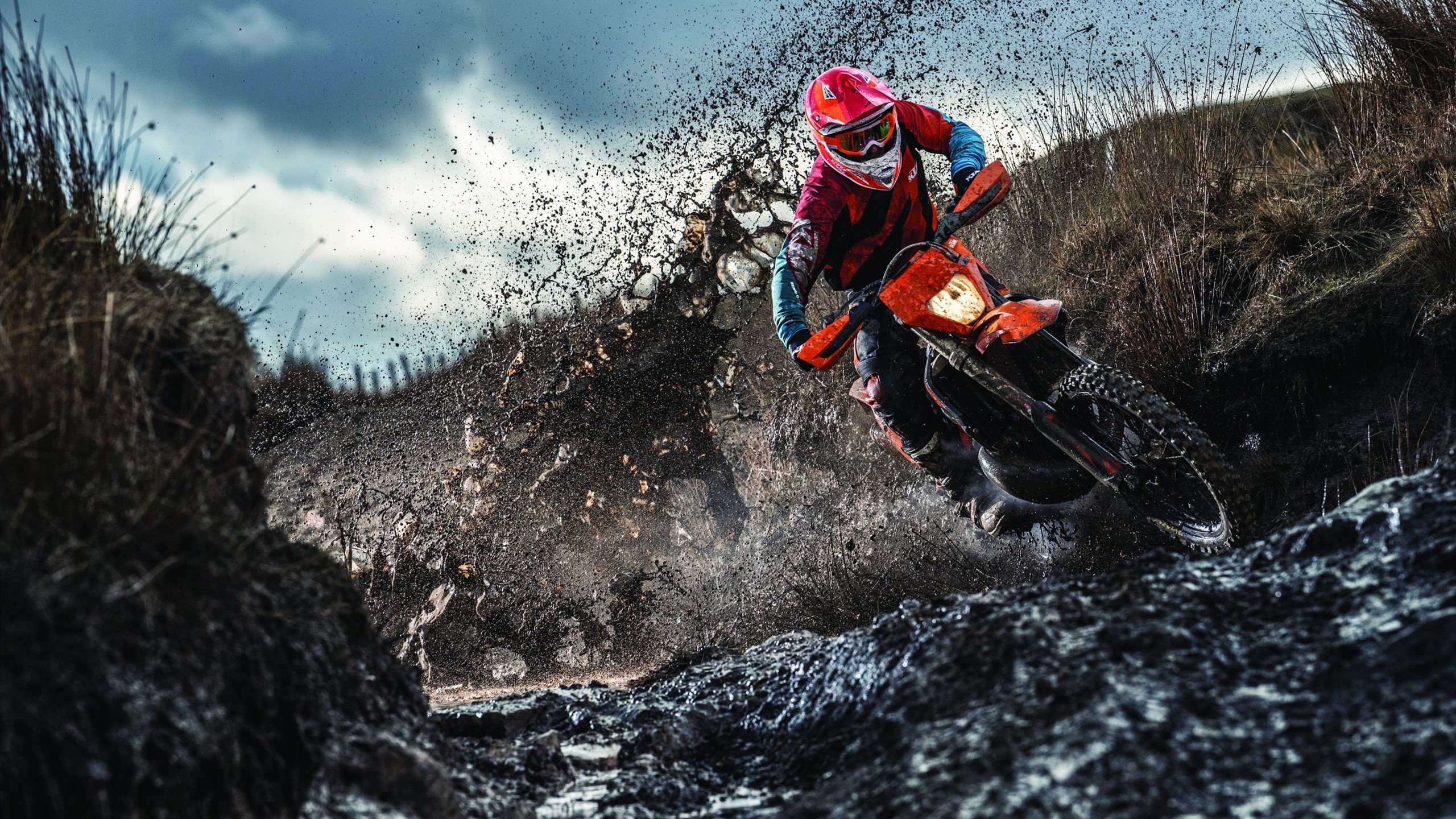 中国游泳队亚运会再创佳绩 多项纪录被刷新