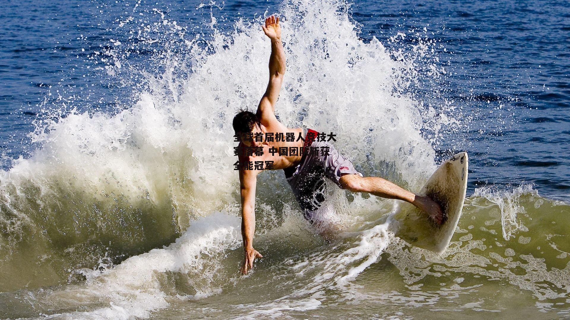 全球首届机器人竞技大赛落幕 中国团队斩获全能冠军