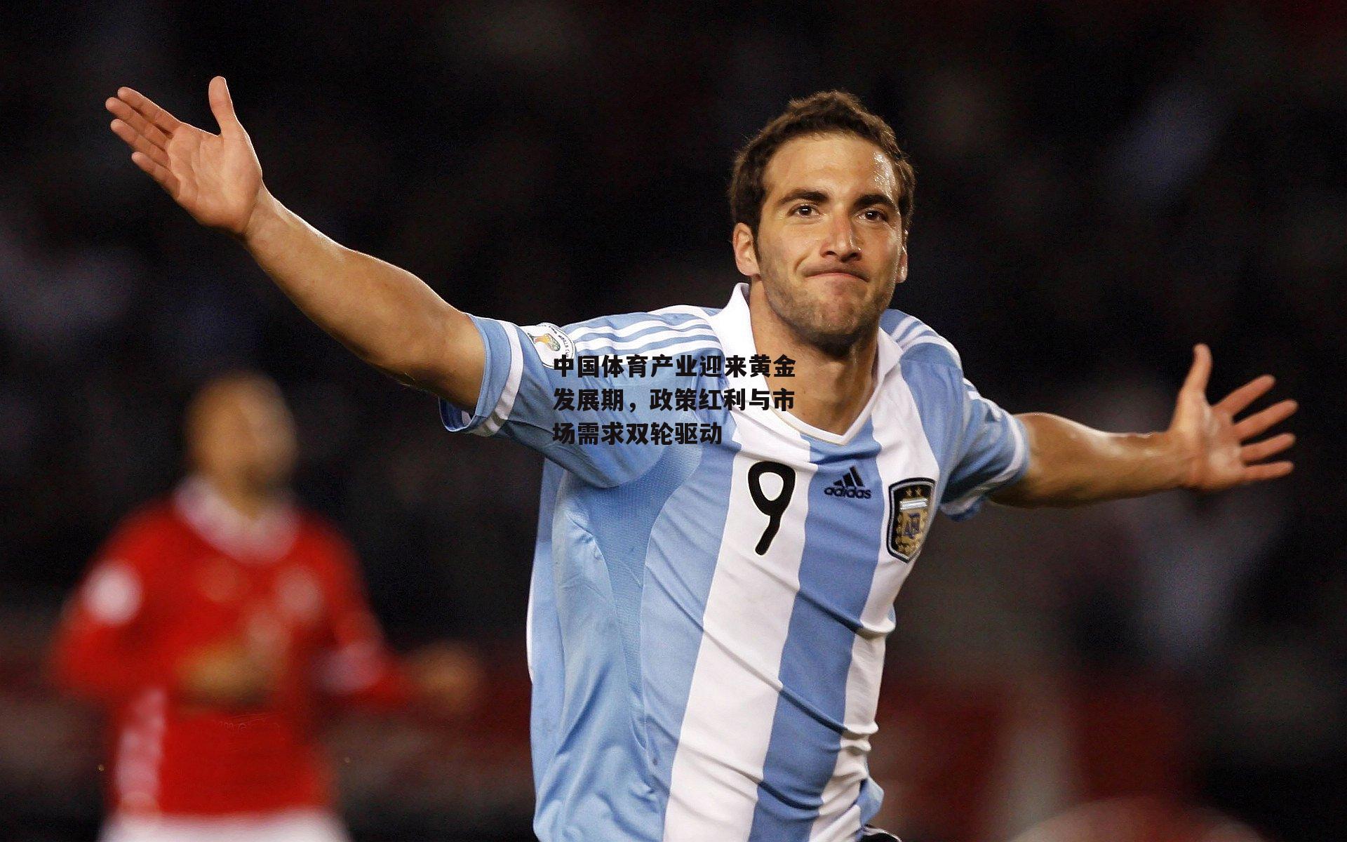 中国体育产业迎来黄金发展期，政策红利与市场需求双轮驱动