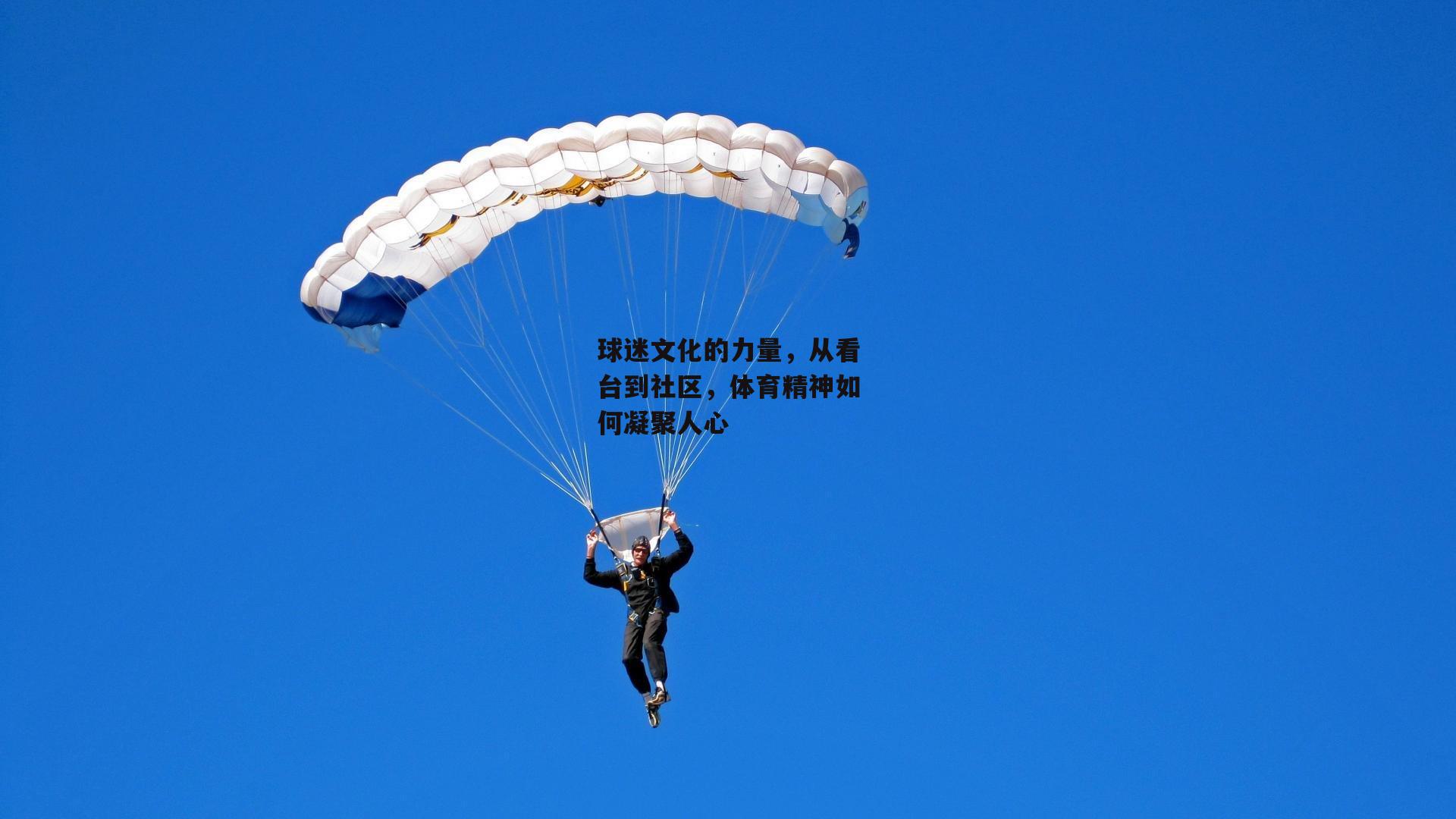 球迷文化的力量，从看台到社区，体育精神如何凝聚人心