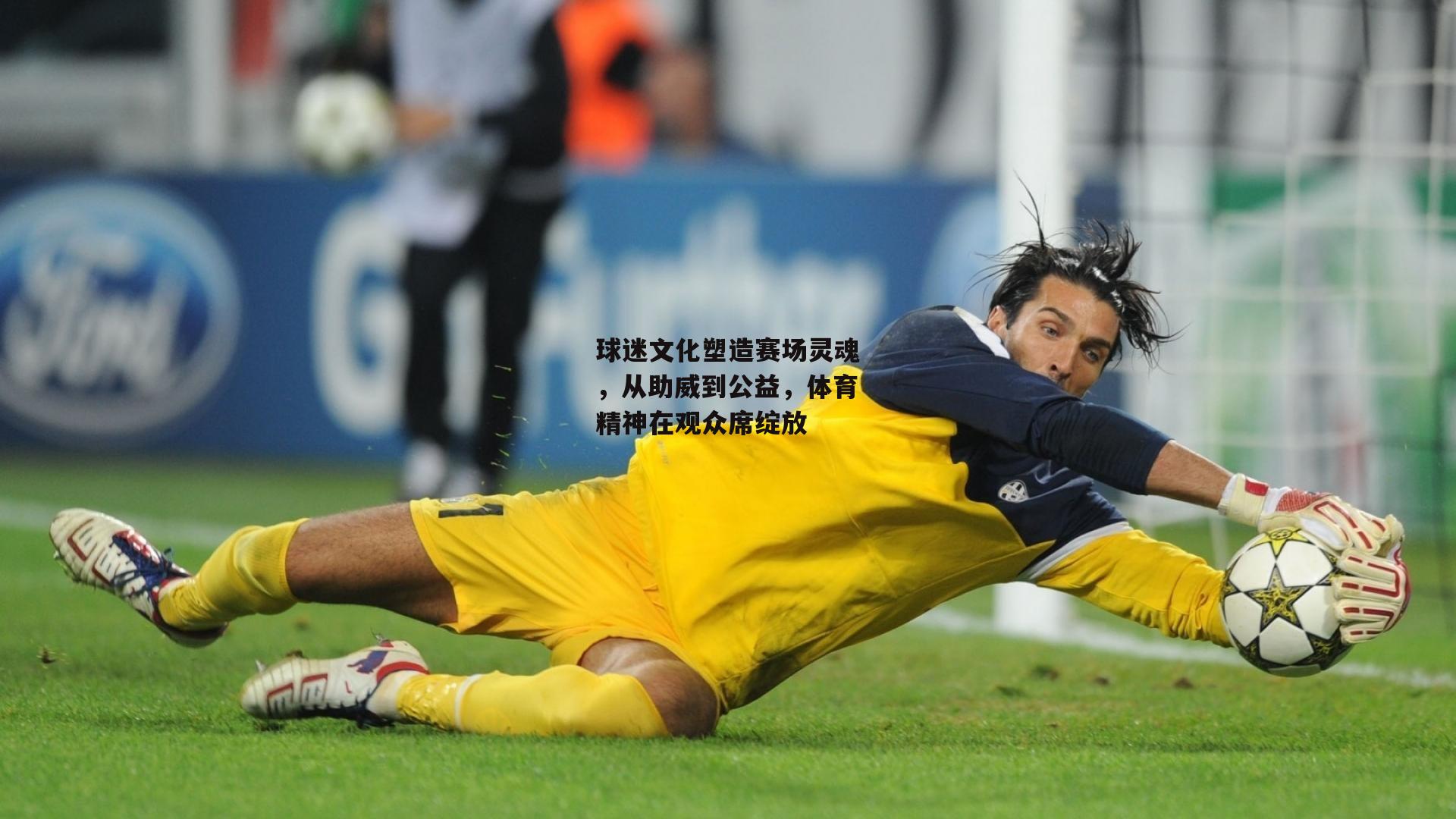 球迷文化塑造赛场灵魂，从助威到公益，体育精神在观众席绽放